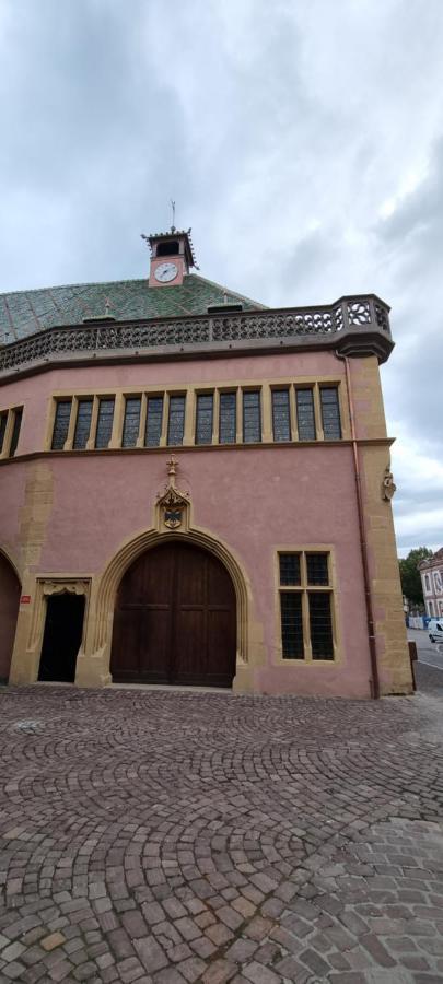 Appartement Grenier à sel Gentleman Colmar Exterior foto